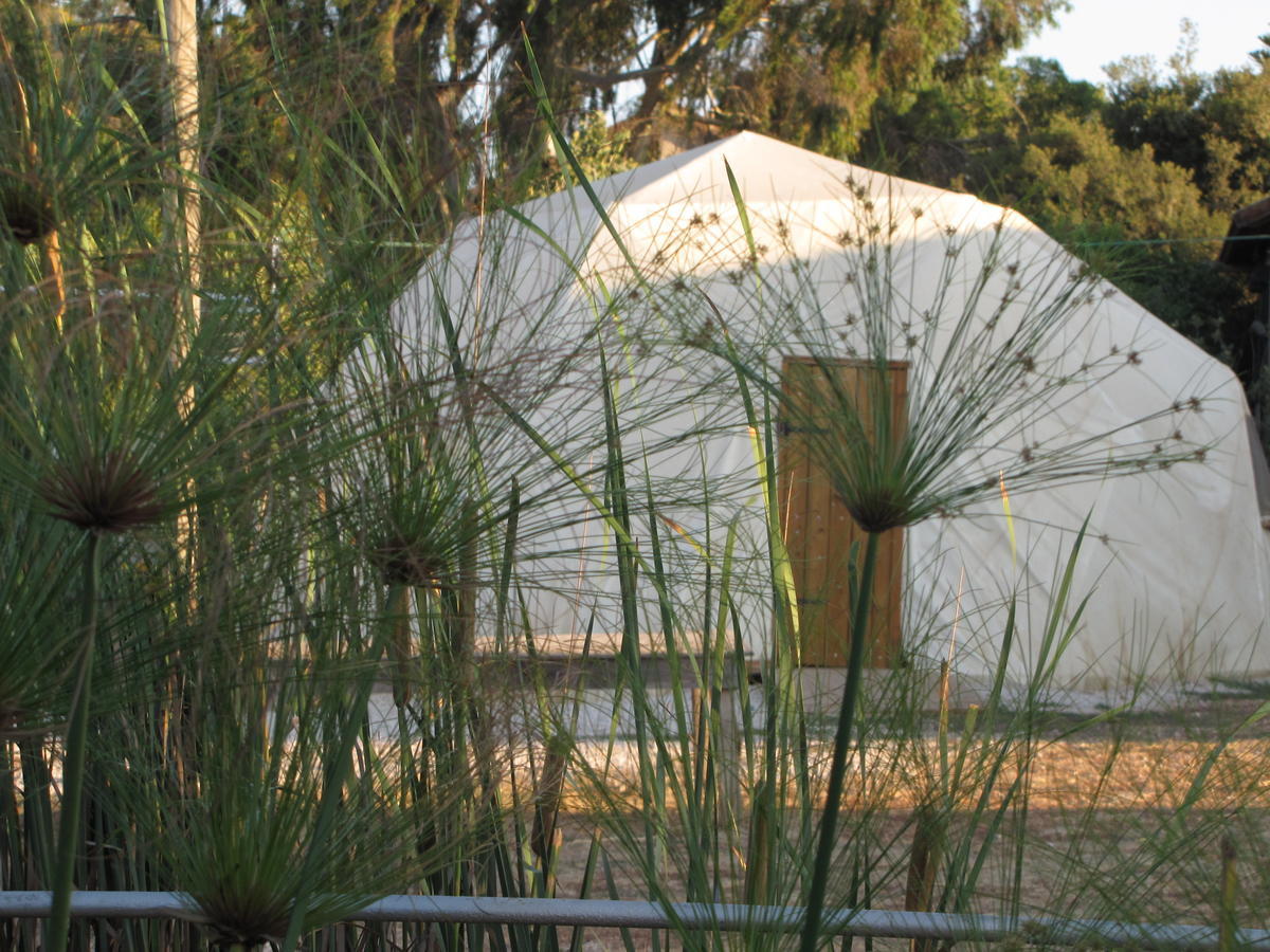 Yarok Az - Ecolodge Farm Ilaniya Номер фото