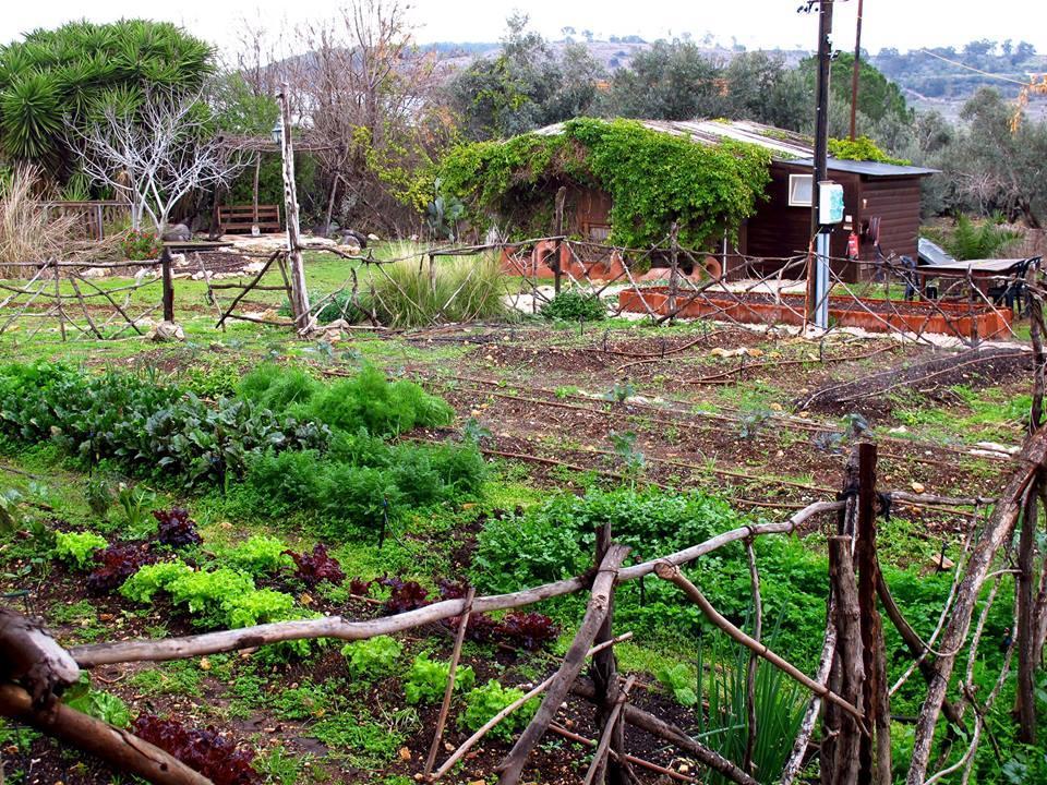 Yarok Az - Ecolodge Farm Ilaniya Экстерьер фото